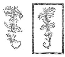 Агримонієн, 1497-1500