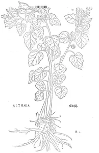 Альтея