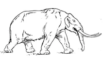 Американський мастодонт (mastodon amerkaniis)