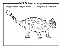 Ankylosaurus magniventris