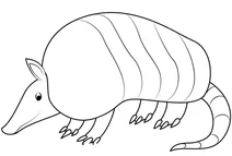 Armadillo