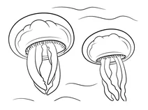 Аурелія