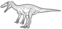 Australovenator