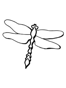 Бабка odonta epiprocta