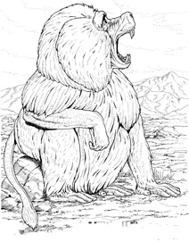 Павіани