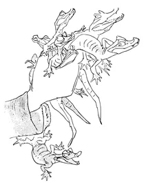 Багато дитинчат алігаторів тримали