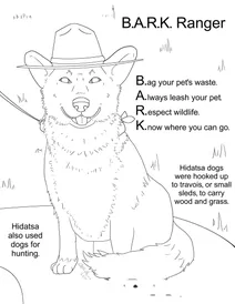 Bark рейнджер