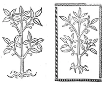 Бейн гольцін, 1497-1500