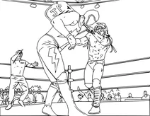 Бій реслерів wwe