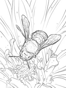 Блакитна садова осмія (osmia lignaria)