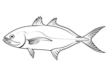 Блакитний каранг (caranx crysos)