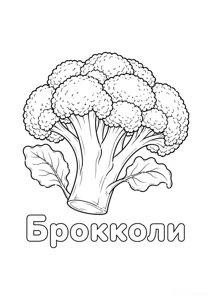 Розмальовка ««Брокколі»»: роздрукувати, завантажити