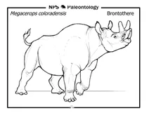 Бронтотерія (megacerops coloradensis)