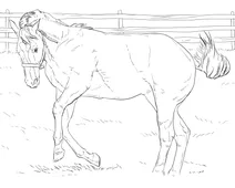 Брикливий кінь