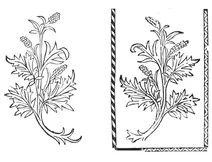 Букен, 1497-1500