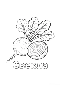 Beetroot