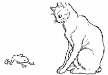Cat and frog
