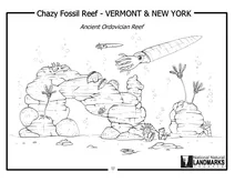 Chazy fossil reef – стародавній ордовицький риф