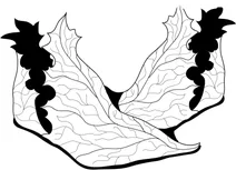 Черевики ельфа