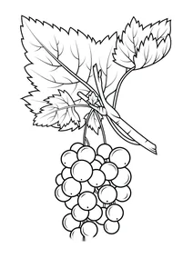 Червоний аґрус