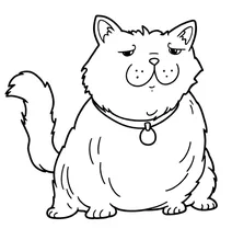 Chubby cat with collar