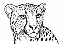 Close-up cheetah portrait