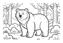 Cute bear in a forest