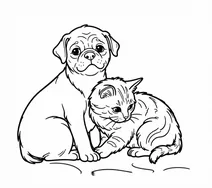 Cute pug puppy and kitten