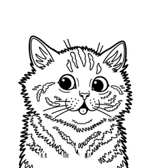 Cute surprised kitten portrait