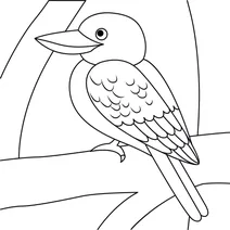 Dacelo