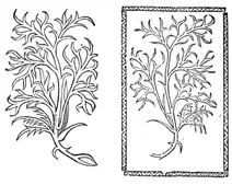 Діллен, 1497-1500