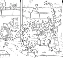Dinosaur skeleton at the museum