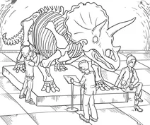 Dinosaur skeleton exhibit at the museum