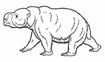 Diprotodon optatum