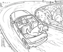 Dog riding in a convertible