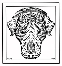 Dog’s head (1920) by julie de graag