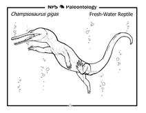 Доісторичний прісноводний крокодил, схожий на рептилію (champsosaurus gigas)