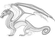 Дракон дощові крила з wings of fire