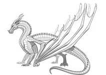 Дракон небесні крила з wings of fire