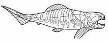Dunkleosteus intermedius