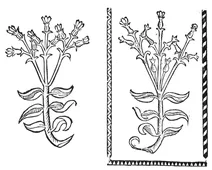Дузент гульдін крут, 1497-1500