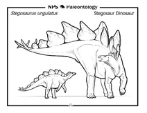 Динозавр стегозавр (stegosaurus ungulatus)