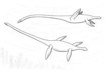 Elasmosaurus