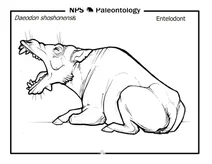 Ентелодонт (daeodon hollandi)