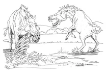 Ентелодонти archaeotherium caninus