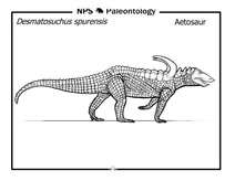 Етозавр (desmatosuchus spurensis)