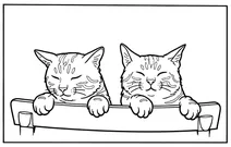 Faces of two sleeping cats after thomas hunter