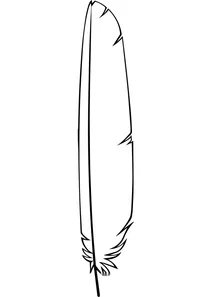 Flight feather