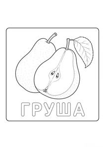 Фрукти Груша
