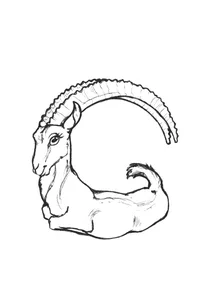 G — коза